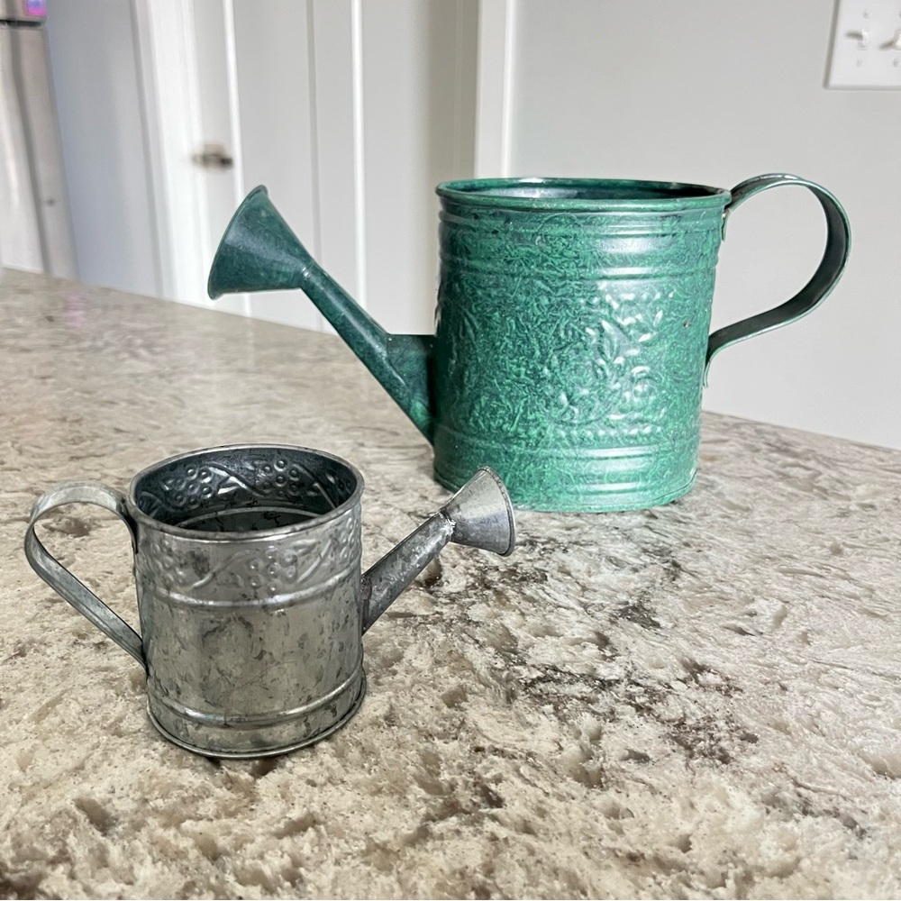 Vintage-Style Green and Silver Watering Can Set